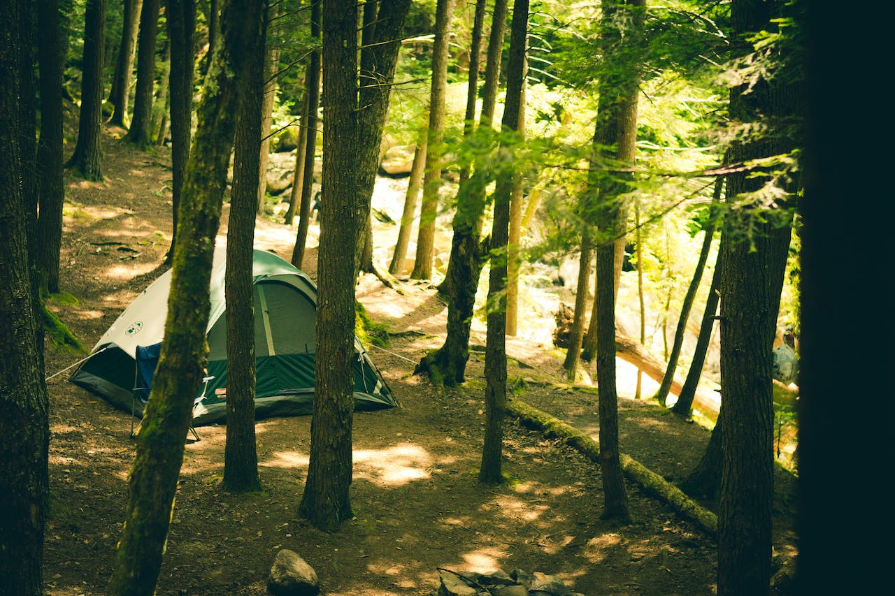 camping forêt
