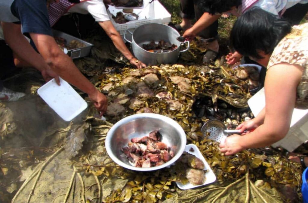 cuisine mapuche